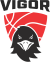 Vigor Basket Conegliano