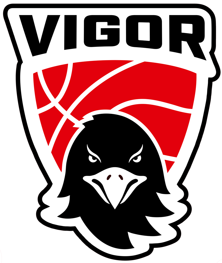 Vigor Conegliano
